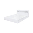 Acme - Perse Queen Bed W/Storage BD00548Q White Finish
