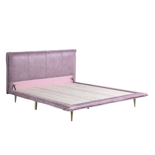 Acme - Metis EK Bed BD00560EK Pink Top Grain Leather