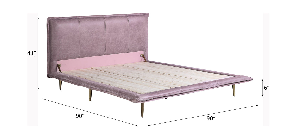 Acme - Metis EK Bed BD00560EK Pink Top Grain Leather