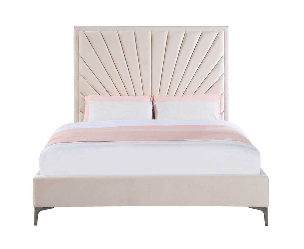 Acme - Faiz Queen Bed BD00957Q Beige Velvet