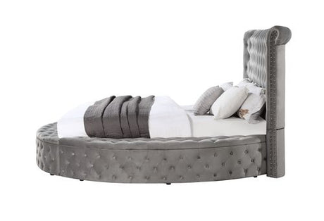 Acme - Gaiva EK Bed W/Storage BD00966EK Gray Velvet