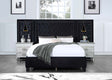 Damazy Queen Bed BD00975Q Black Velvet | Acme | Home Elegance USA