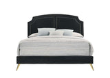 Acme - Zeena Queen Bed BD01176Q Black Velvet