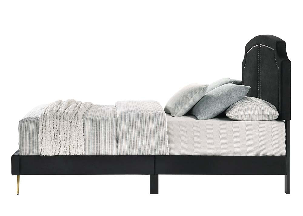 Acme - Zeena Queen Bed BD01176Q Black Velvet