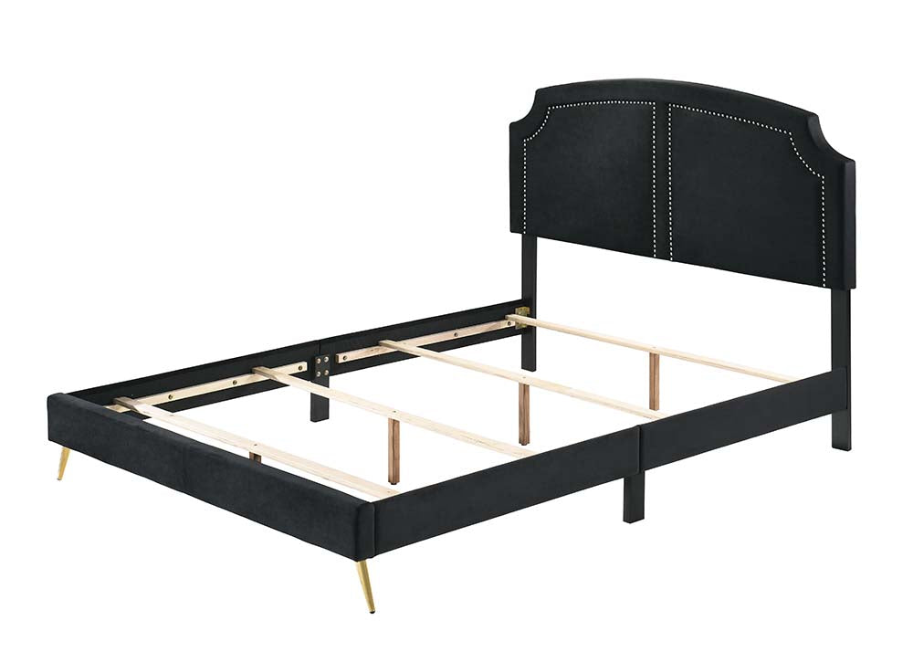 Acme - Zeena Queen Bed BD01176Q Black Velvet