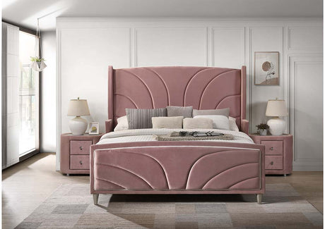 Acme - Salonia Queen Bed BD01183Q Pink Velvet