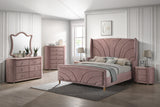 Acme - Salonia Chest BD01187 Pink Velvet