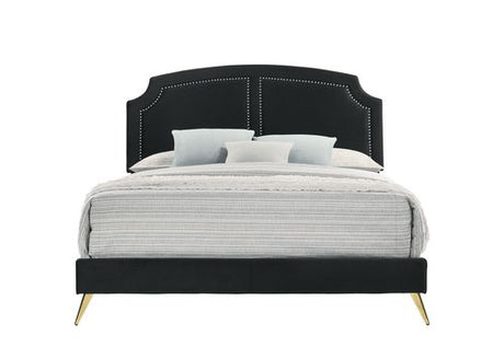 Acme - Zeena EK Bed BD01271EK Black Velvet