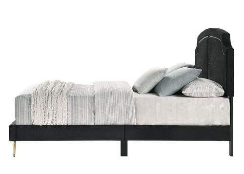 Acme - Zeena EK Bed BD01271EK Black Velvet