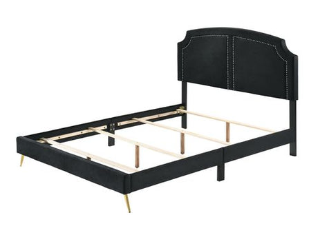 Acme - Zeena EK Bed BD01271EK Black Velvet