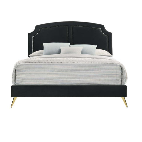 Acme - Zeena Full Bed BD01461F Black Velvet