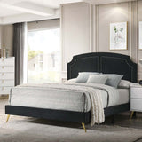 Acme - Zeena Full Bed BD01461F Black Velvet