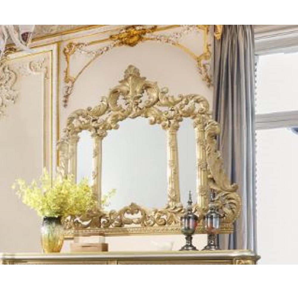 Acme - Cabriole Mirror BD01465 Gold Finish