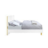 Acme - Gaines CK Bed BD01814CK White High Gloss Finish