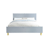 Acme - Gaines CK Bed BD01815CK Gray High Gloss Finish