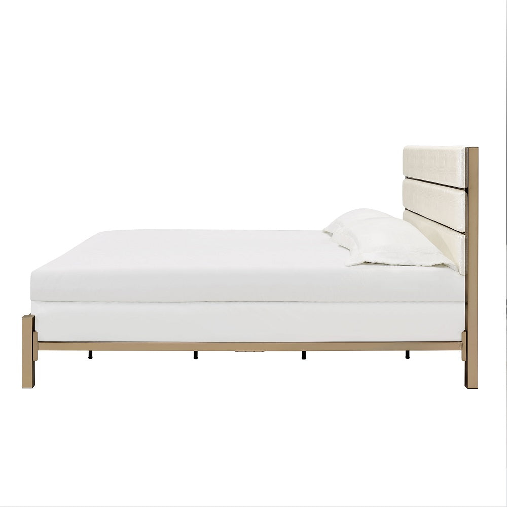 Acme - Myles EK Bed BD02023EK White & Champagne & Gold Finish