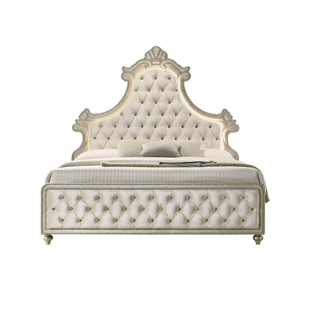 Acme - Lucienne Queen Bed W/Led BD02335Q Beige Velvet