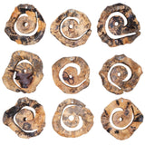 Corkscrew Wood Wall Decor (Set of 9) - Light Brown by Uttermost - View 8