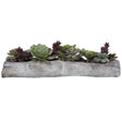 Charita Lush Succulents - Silver / Green by Uttermost - View 1