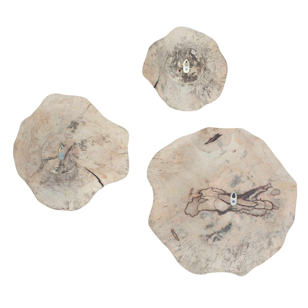 Teo Wall Decor (Set of 3) Bleached Wood - Beige by Uttermost - View 8