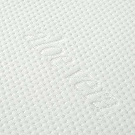 24424493