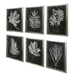 Foliage Framed Prints (Set of 6) - Black / Silver by Uttermost - View 4