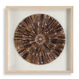 Tiger Sea Urchin Shadow Box - Dark Brown by Uttermost - View 1