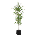 Boreal Potted Birch Tree - Dark Gray / Green by Uttermost - View 5