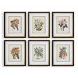 Orchid Botanical Framed Prints (Set of 6) - Green / Orange by Uttermost - View 1