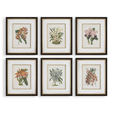 Orchid Botanical Framed Prints (Set of 6) - Green / Orange by Uttermost - View 1