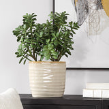Crassula Jade Accent Plant - Beige by Uttermost - View 2