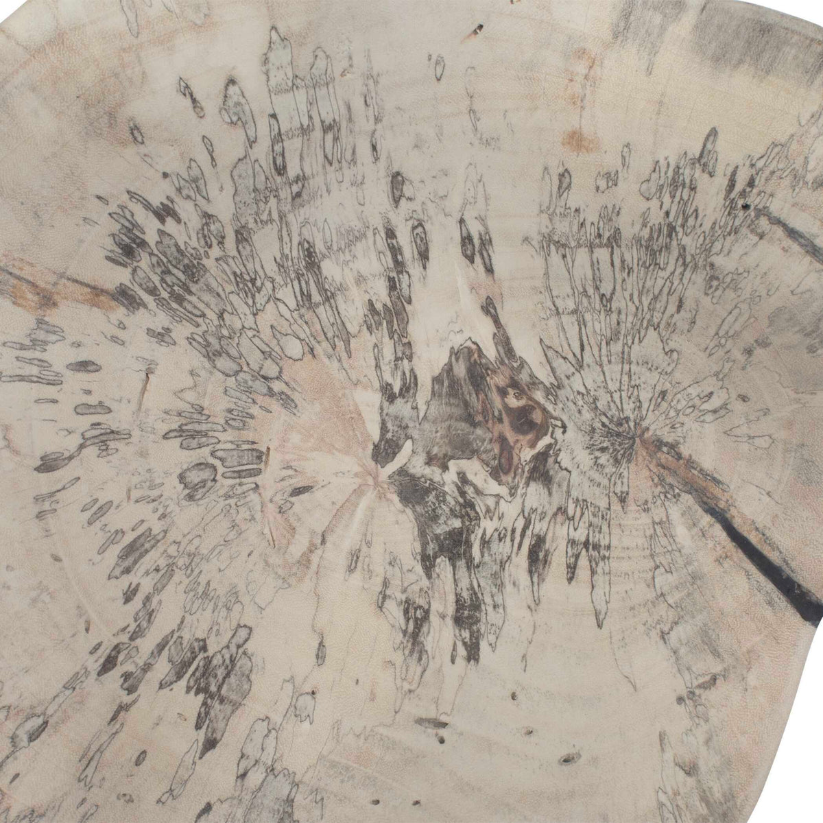 Teo Wall Decor (Set of 3) Bleached Wood - Beige by Uttermost - View 7