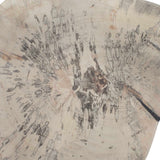 Teo Wall Decor (Set of 3) Bleached Wood - Beige by Uttermost - View 7