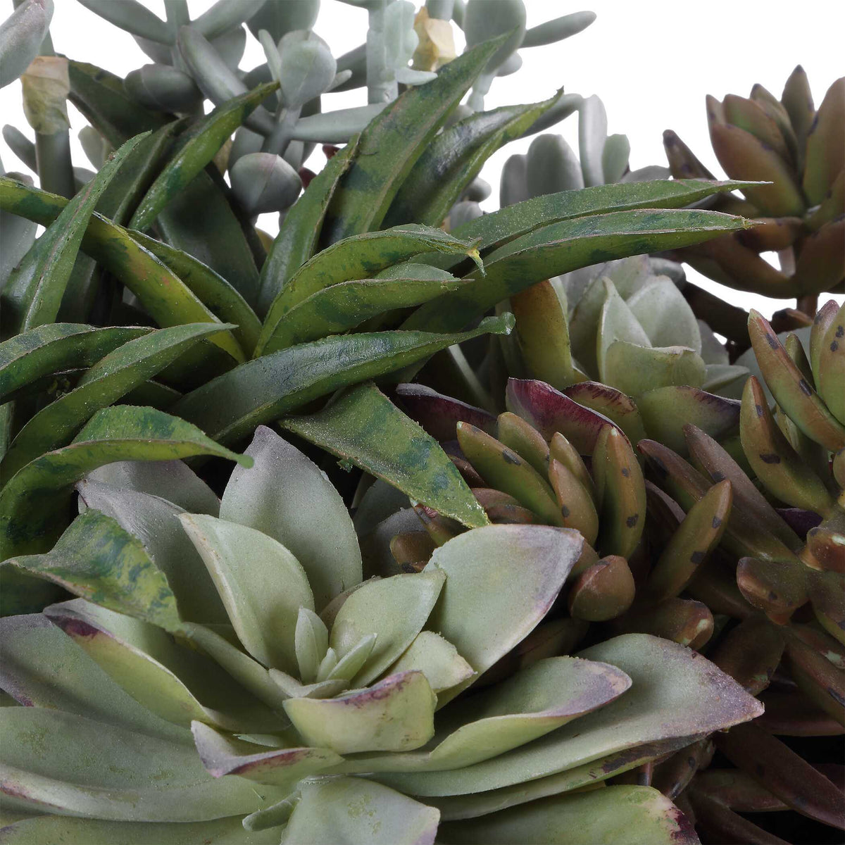 Greystone Indoor-Outdoor Succulent - Green by Uttermost - View 7