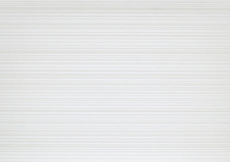 23568233
