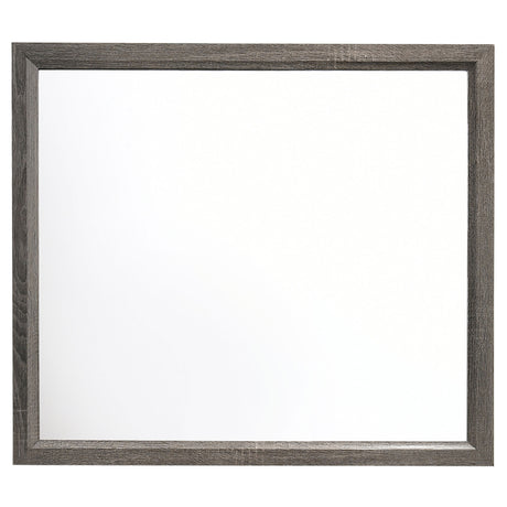 23480977