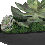 Verde Succulent Centerpiece In Bowl - Black / Green by Uttermost - View 8