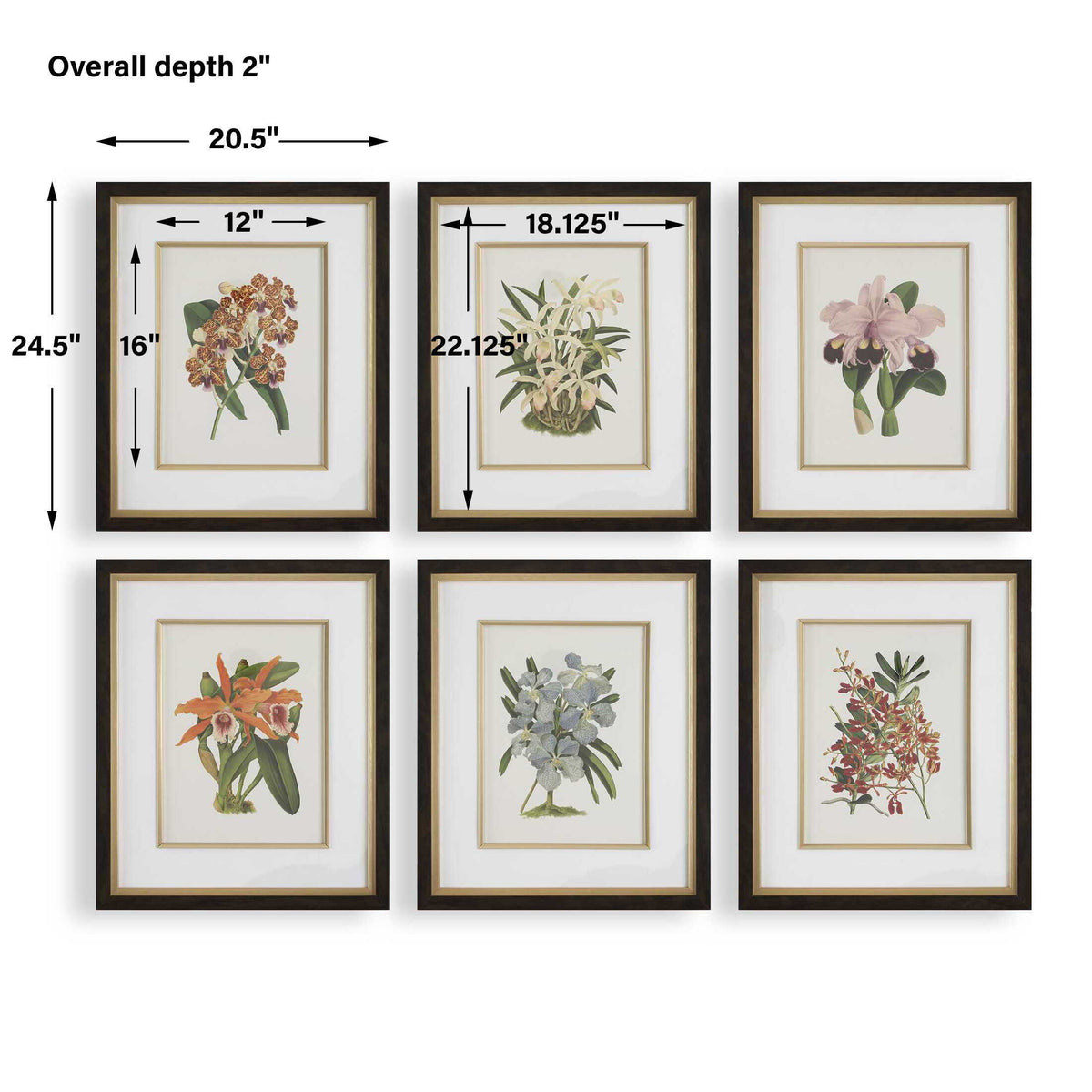 Orchid Botanical Framed Prints (Set of 6) - Green / Orange by Uttermost - View 7