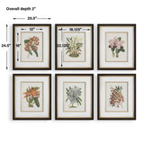 Orchid Botanical Framed Prints (Set of 6) - Green / Orange by Uttermost - View 7