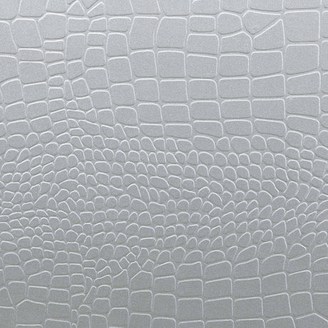 23504011