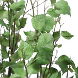 Aldis Potted River Birch - Gray / Green by Uttermost - View 4