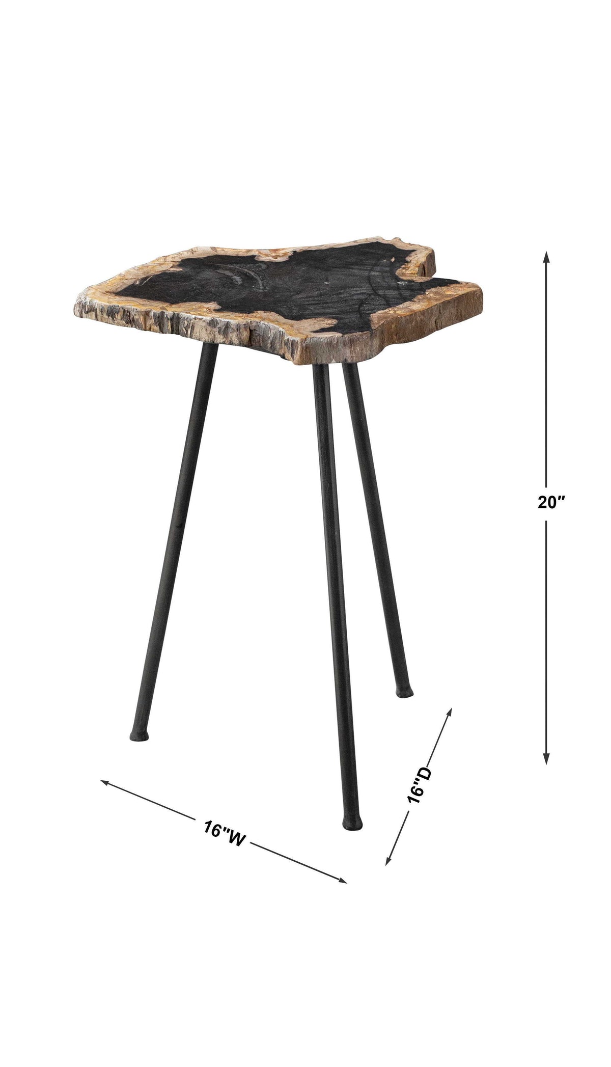 Mircea Petrified Wood Accent Table Black & Light Brown - Black / Light Brown by Uttermost - View 9
