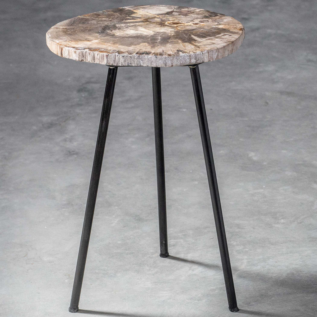 Mircea Petrified Wood Accent Table Black & Light Brown - Black / Light Brown by Uttermost - View 6