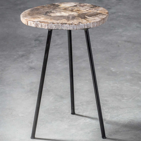 Mircea Petrified Wood Accent Table Black & Light Brown - Black / Light Brown by Uttermost - View 6