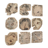 Bahati Wood Bleached Wall Decor (Set of 9) - Light Brown by Uttermost - View 3
