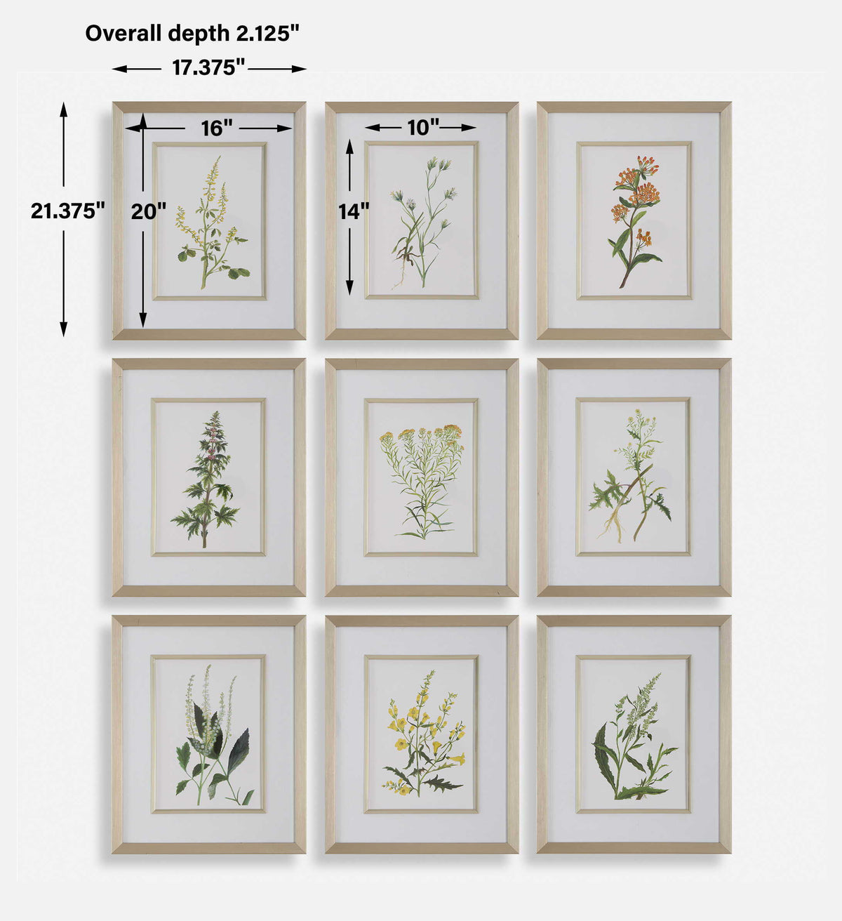 Botanical Flowers Framed Prints (Set of 9) - Green by Uttermost - View 8