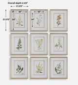 Botanical Flowers Framed Prints (Set of 9) - Green by Uttermost - View 8