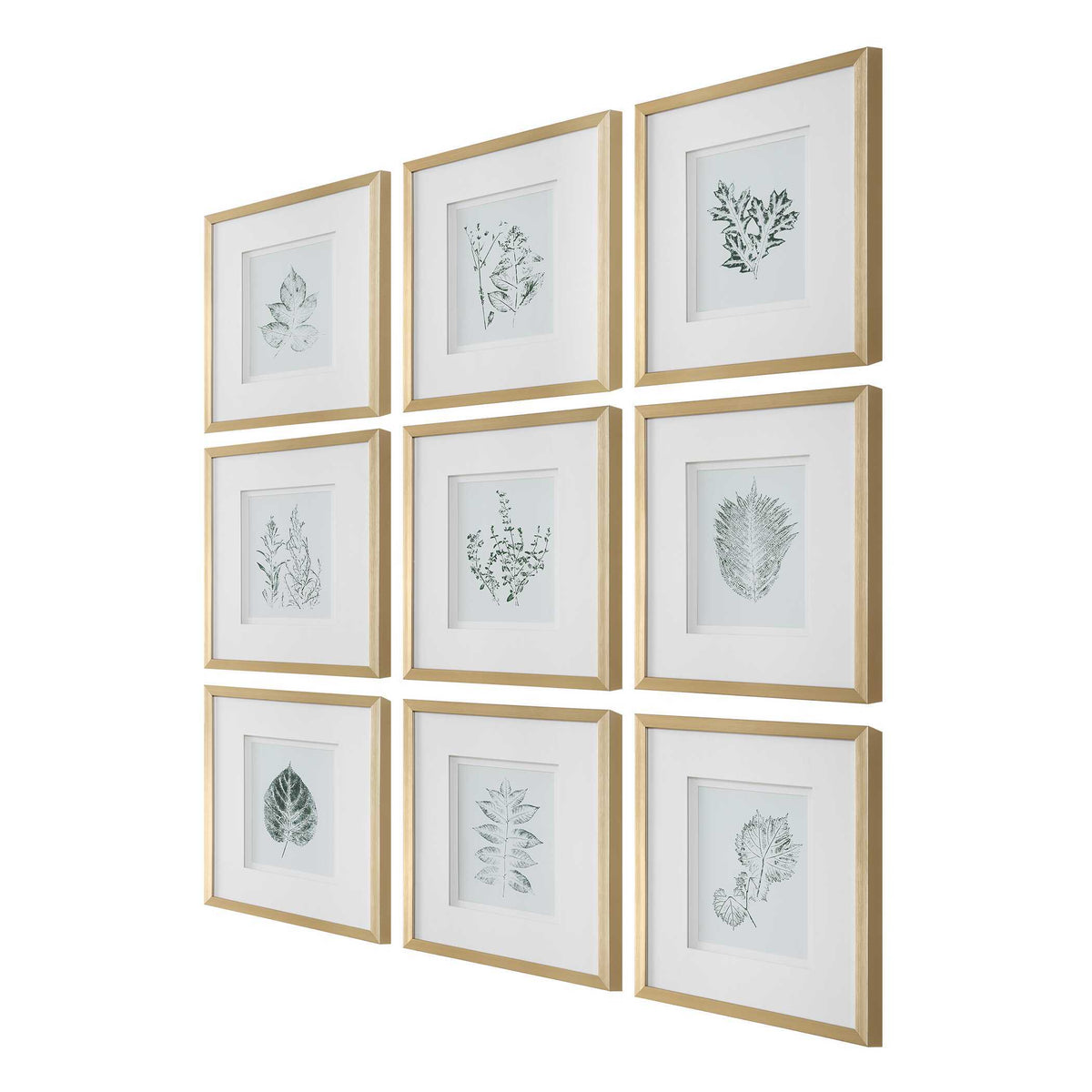 Nature's Script Framed Botanical Prints (Set of 9) Gold / Green / White - Gold / White by Uttermost - View 3