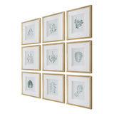 Nature's Script Framed Botanical Prints (Set of 9) Gold / Green / White - Gold / White by Uttermost - View 3