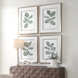 Fiddle Head Leaf Botanical Prints (Set of 4) - Green / White by Uttermost - View 3